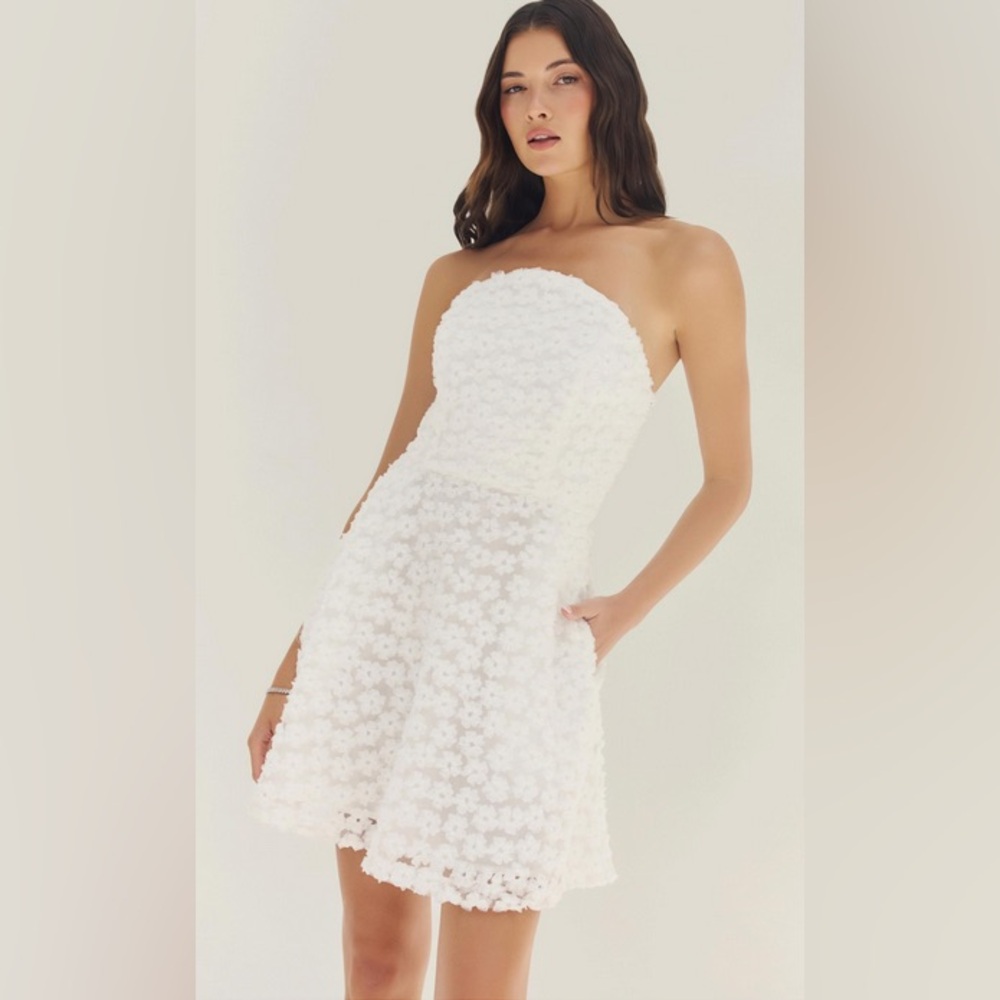 NWT Hutch Patricia Dress in White Novelty Tulle Size Small